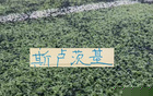 申花官宣斯卢茨基不再担任一线队主教练